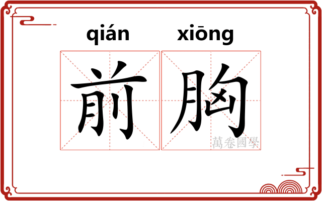 前胸