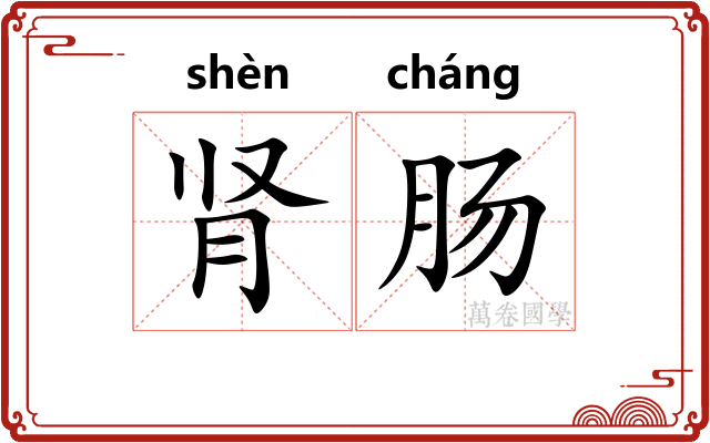 肾肠