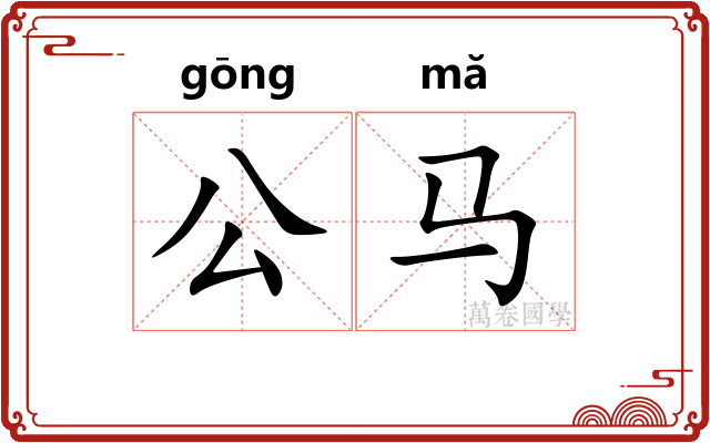 公马
