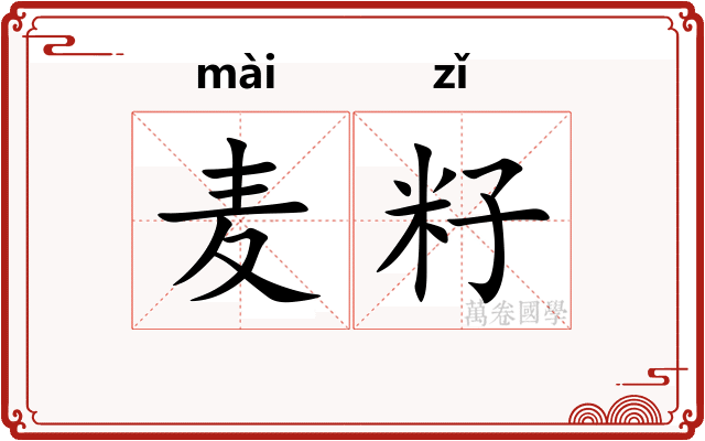 麦籽