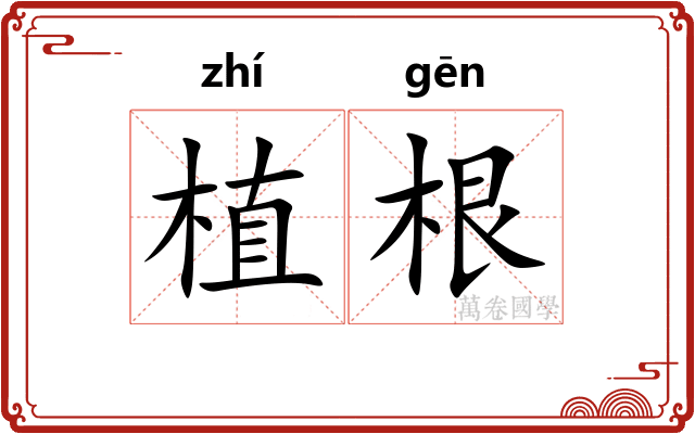 植根