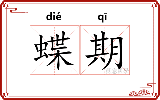 蝶期