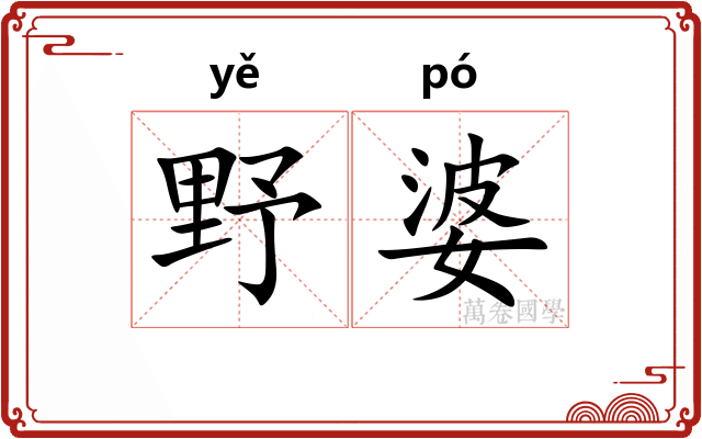 野婆 野婆