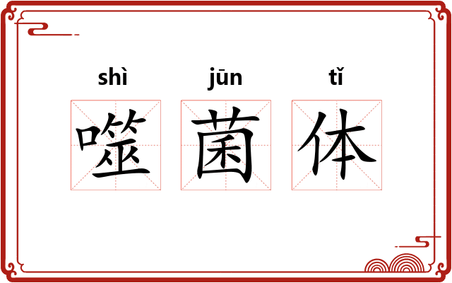 噬菌体