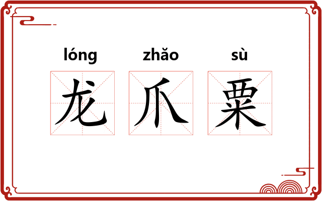 龙爪粟 龙爪粟