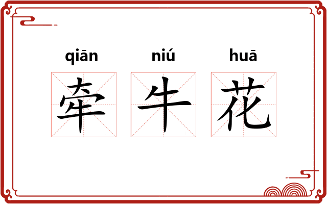 牵牛花