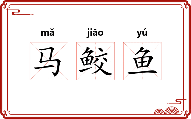 马鲛鱼 马鲛鱼