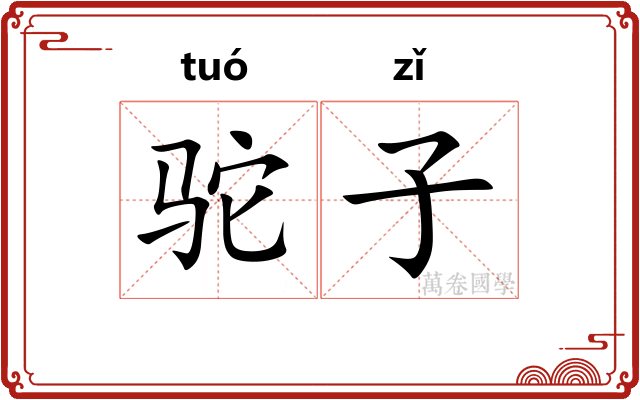 驼子