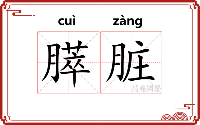 膵脏