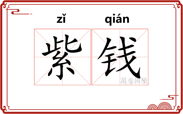 紫钱