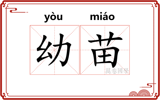 幼苗