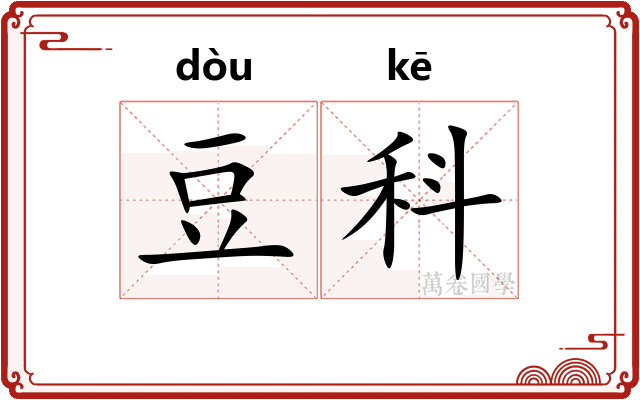豆科