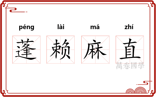 蓬赖麻直