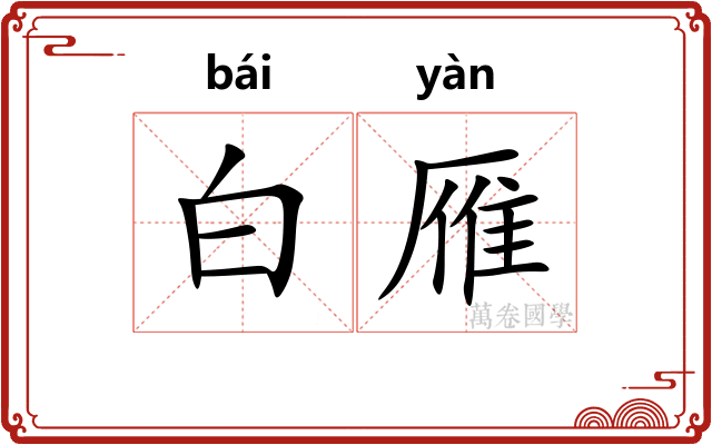 白雁 白雁