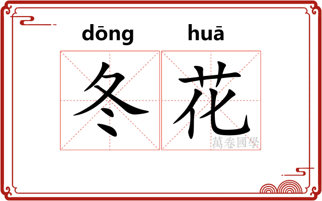 冬花