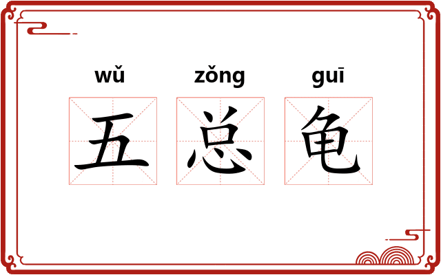 五总龟