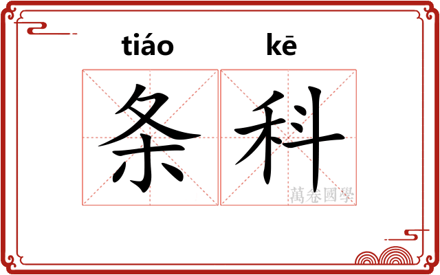 条科