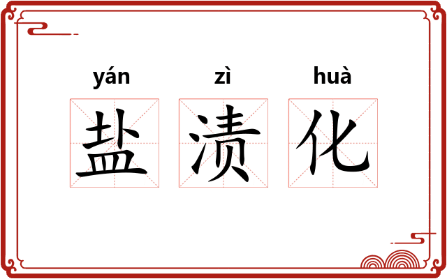 盐渍化 盐渍化