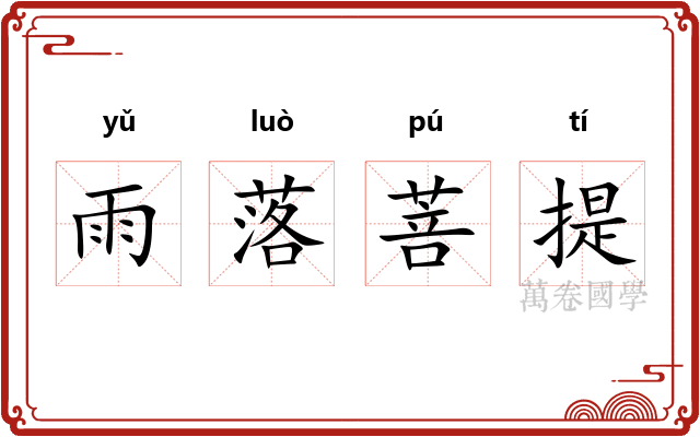 雨落菩提