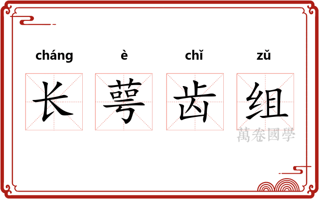 长萼齿组