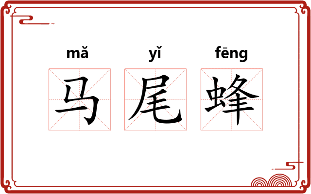 马尾蜂