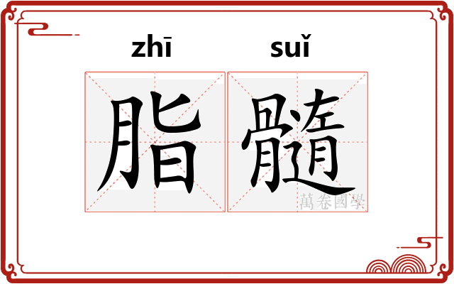 脂髓