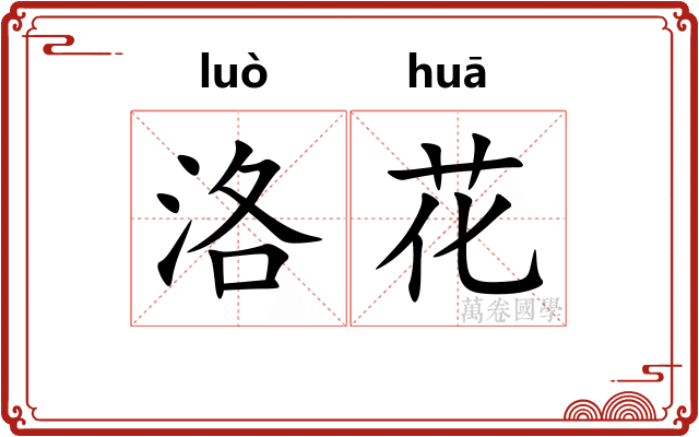 洛花 洛花