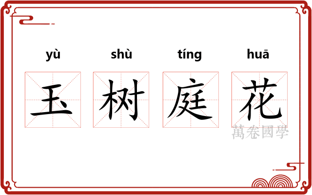 玉树庭花 玉树庭花
