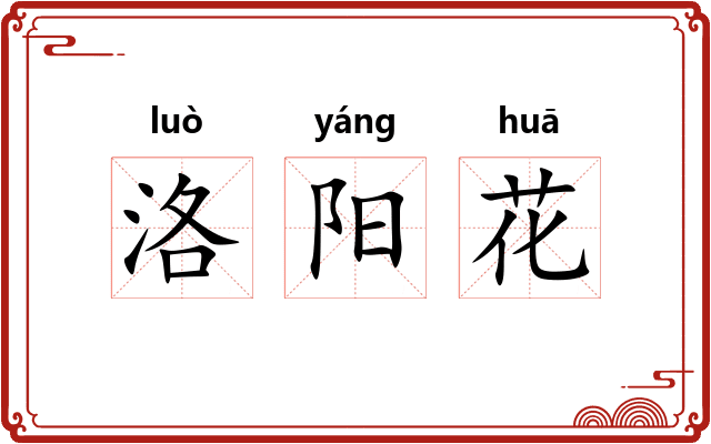 洛阳花