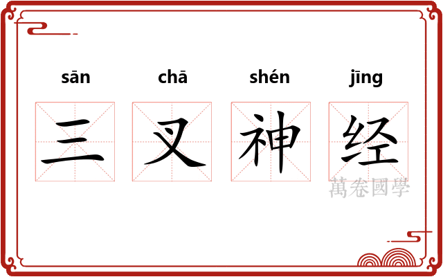 三叉神经 三叉神经