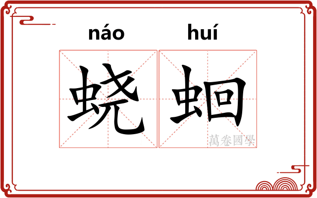 蛲蛔