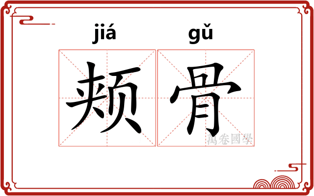 颊骨 颊骨