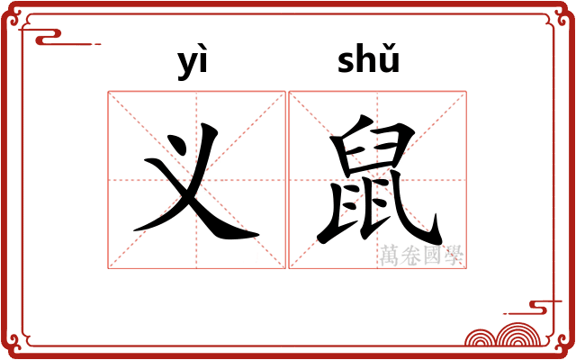 义鼠
