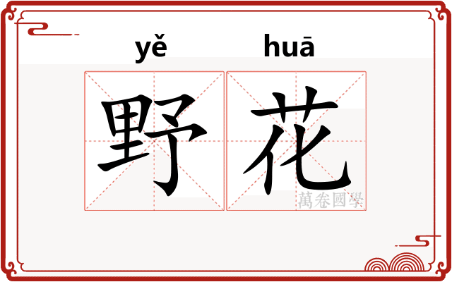 野花