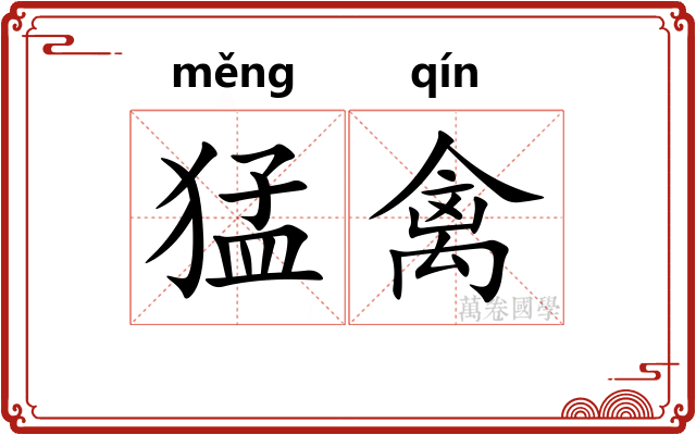 猛禽