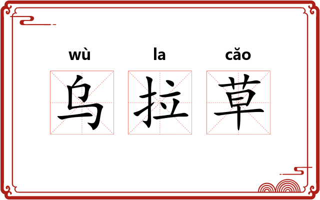 乌拉草 乌拉草
