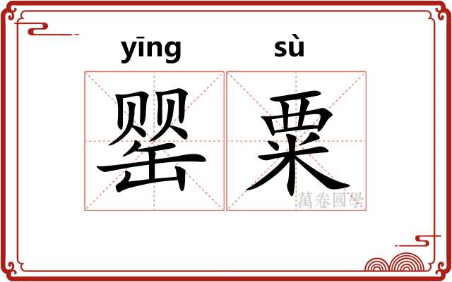 罂粟 罂粟