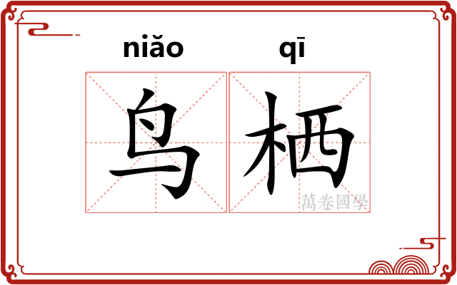 鸟栖
