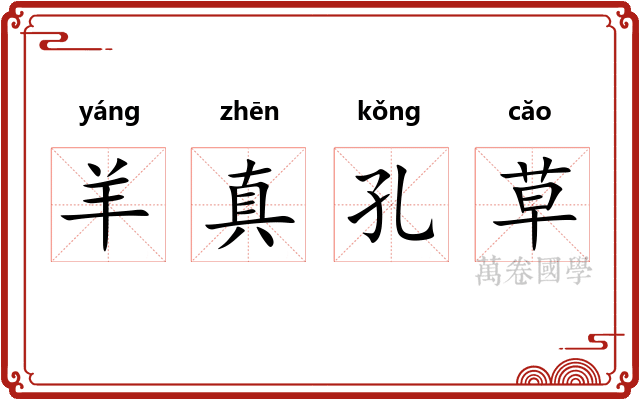 羊真孔草