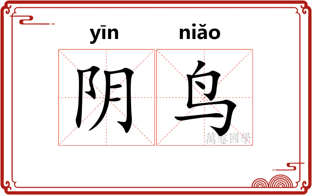 阴鸟