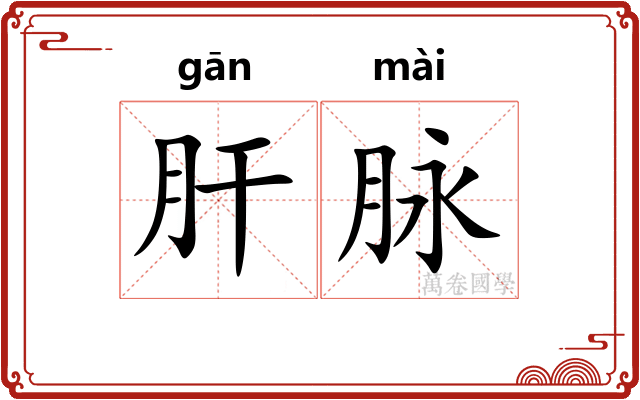 肝脉