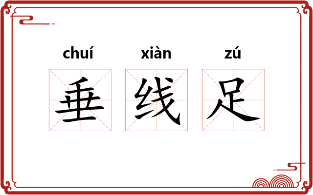 垂线足