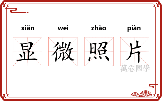 显微照片 显微照片