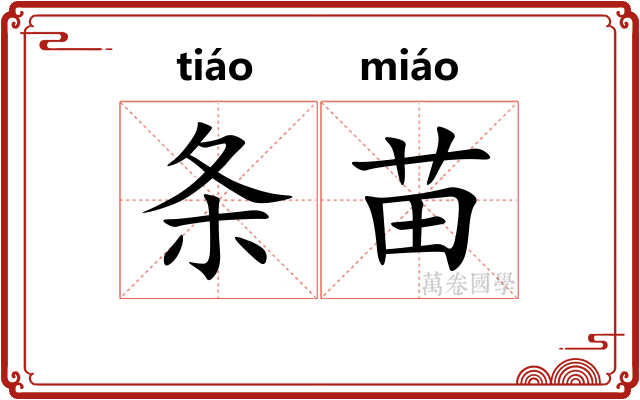 条苗