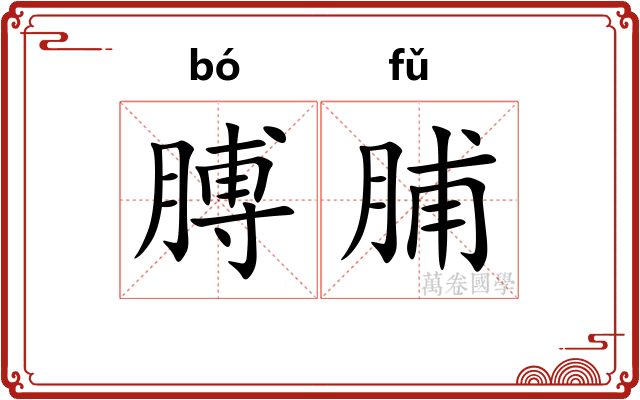 膊脯