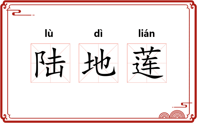 陆地莲