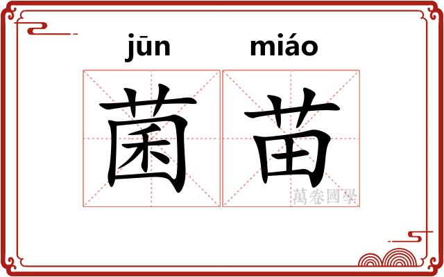 菌苗