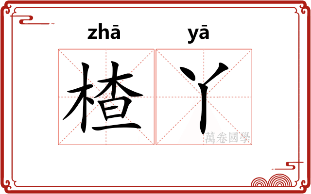 楂丫