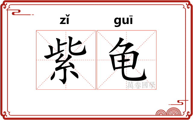 紫龟