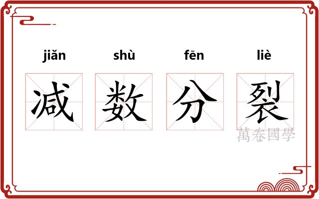 减数分裂